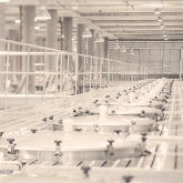 deneb3